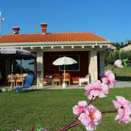 Appartement Rosa Dei Venti Sul Garda à Bardolino Extérieur photo